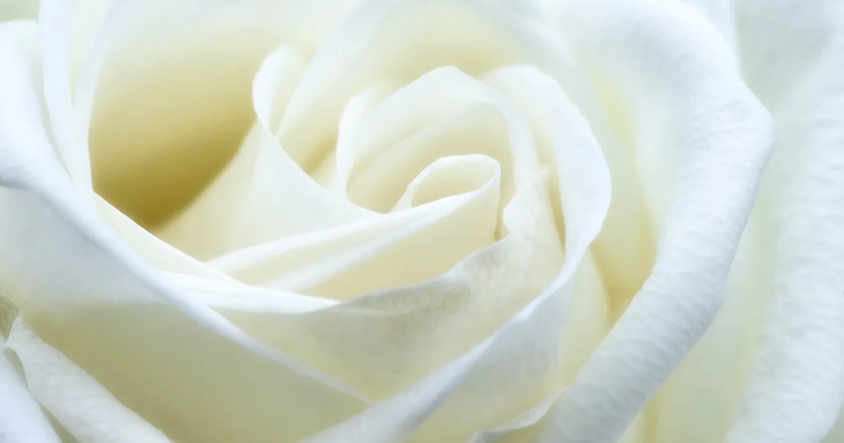 Wrongful Death Claims in Michigan: Who Can File and the Deadline